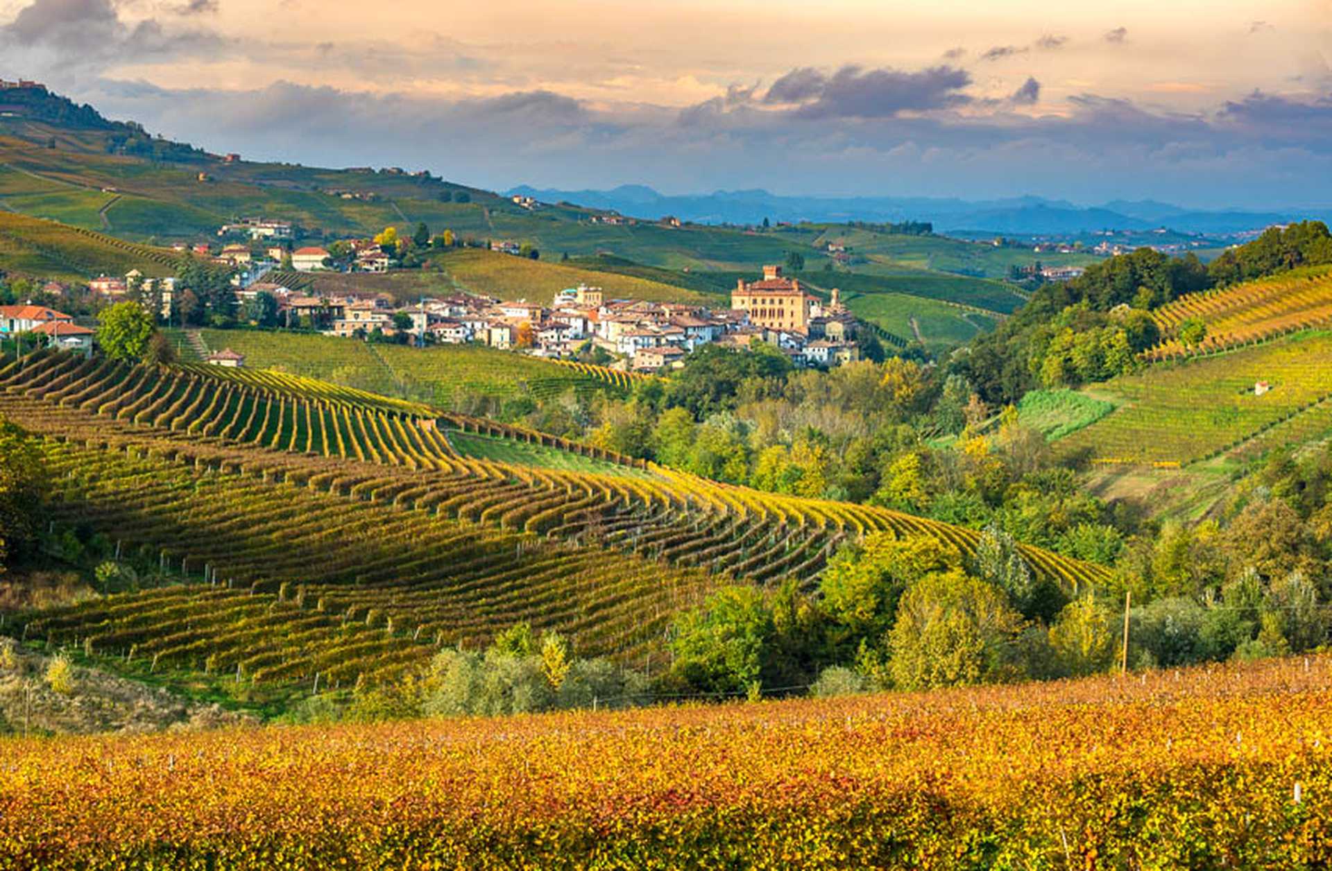 View across vineyards to Barolo town in Piedmont, northern Italy