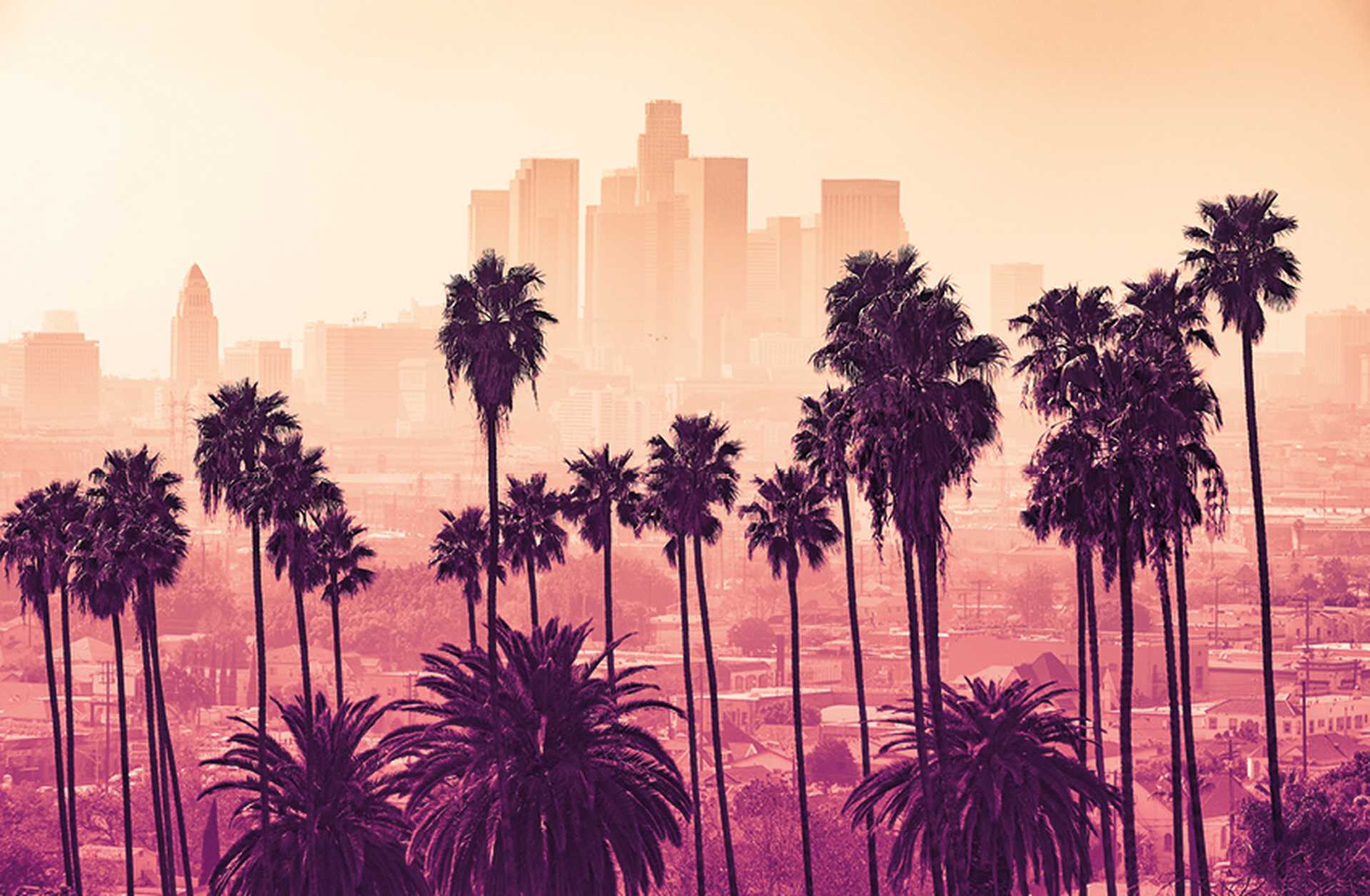 The Los Angeles skyline with palm trees in the foreground