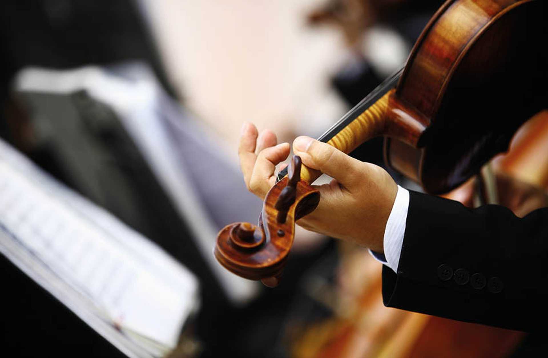 Man plays a violin in a Classical music concert, Vienna, Austria