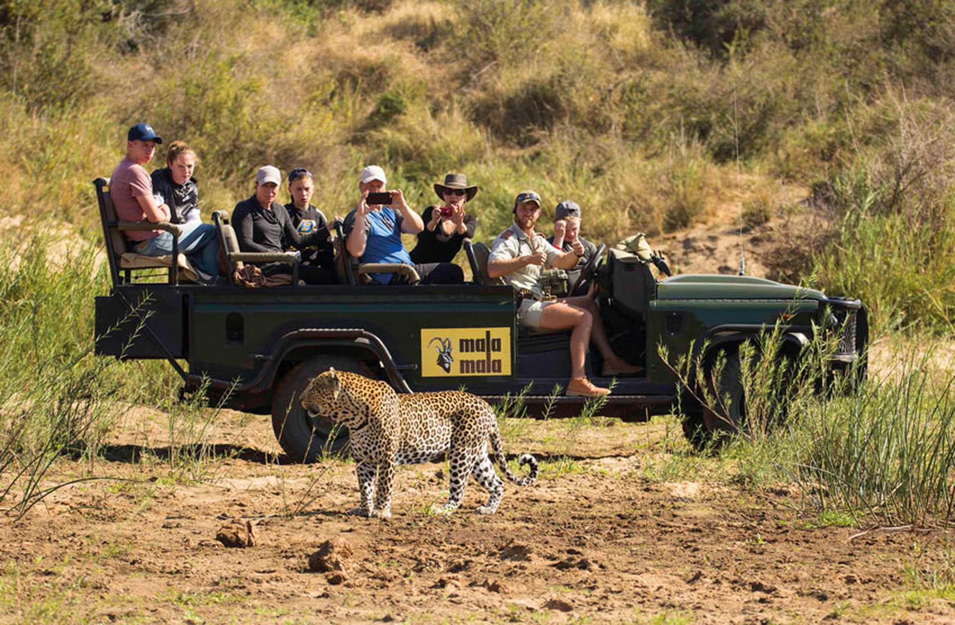 Visitors watch a leopard from a Jeep on a safari game drive in Mala Mala, South Africa