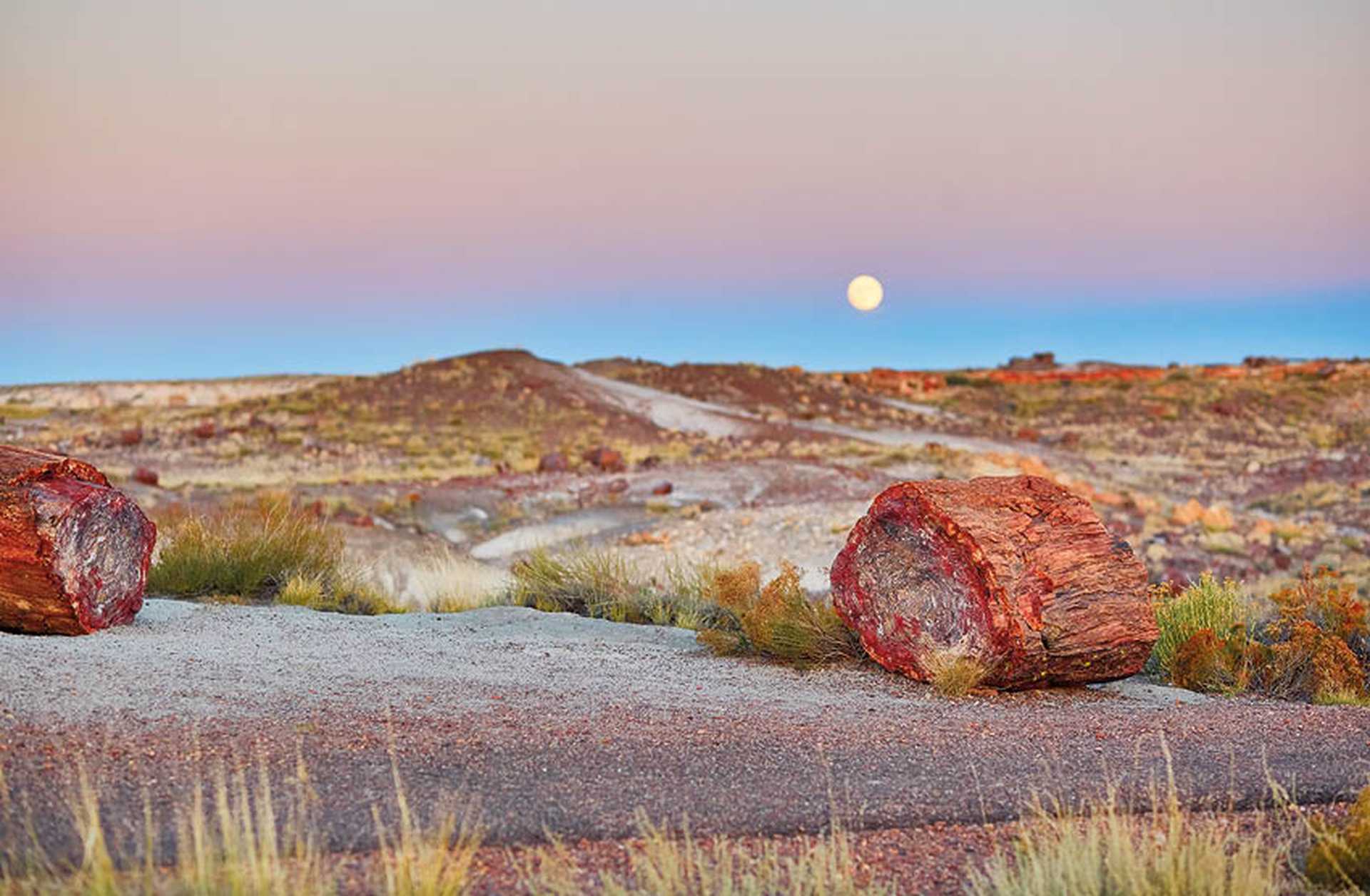 Petrified Forest National Park, Arizona, USA