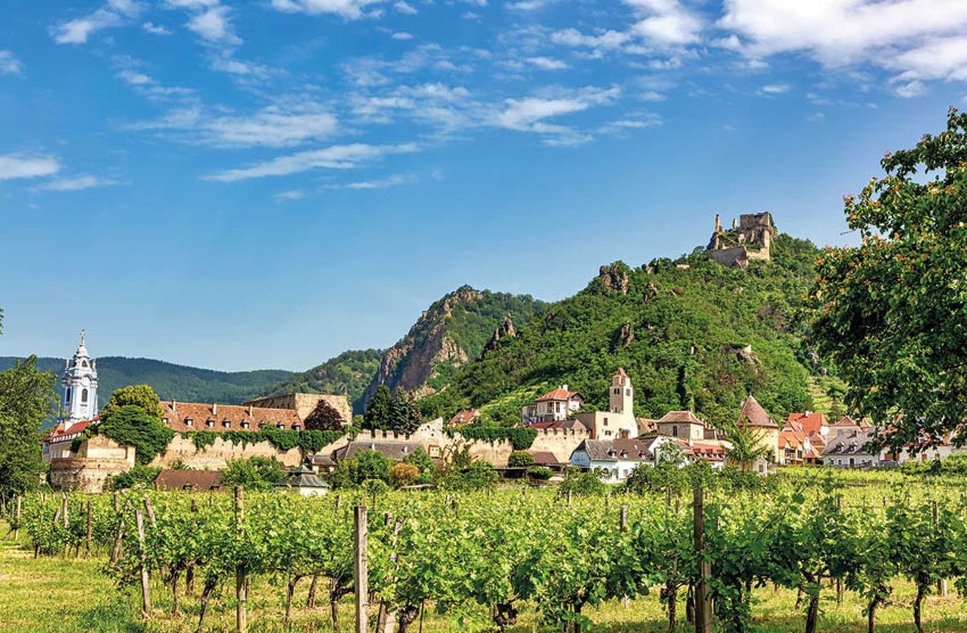 View over a vineyard to the village of Durnstein, Austria
