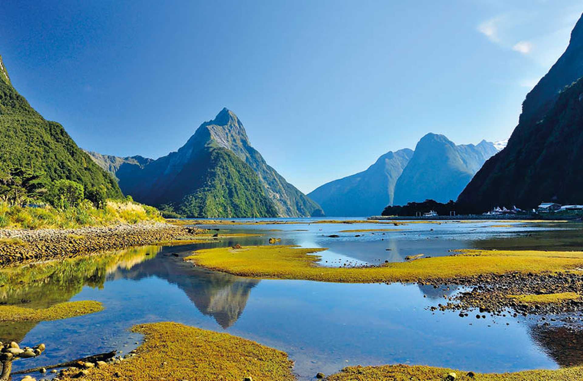 Milford Sound on New Zealand's South Island, with forested peaks in the background