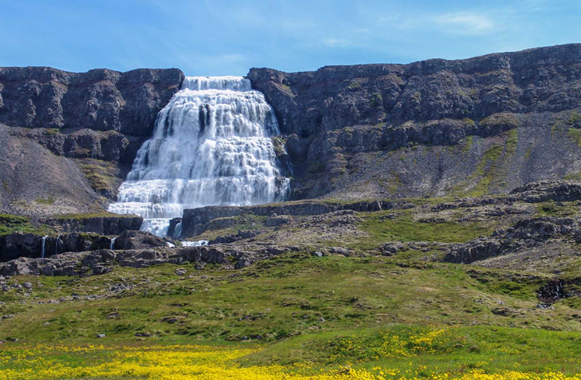 Dynjandi waterfall in the Westfjords region of Iceland, with a field of yellow buttercups in the foreground