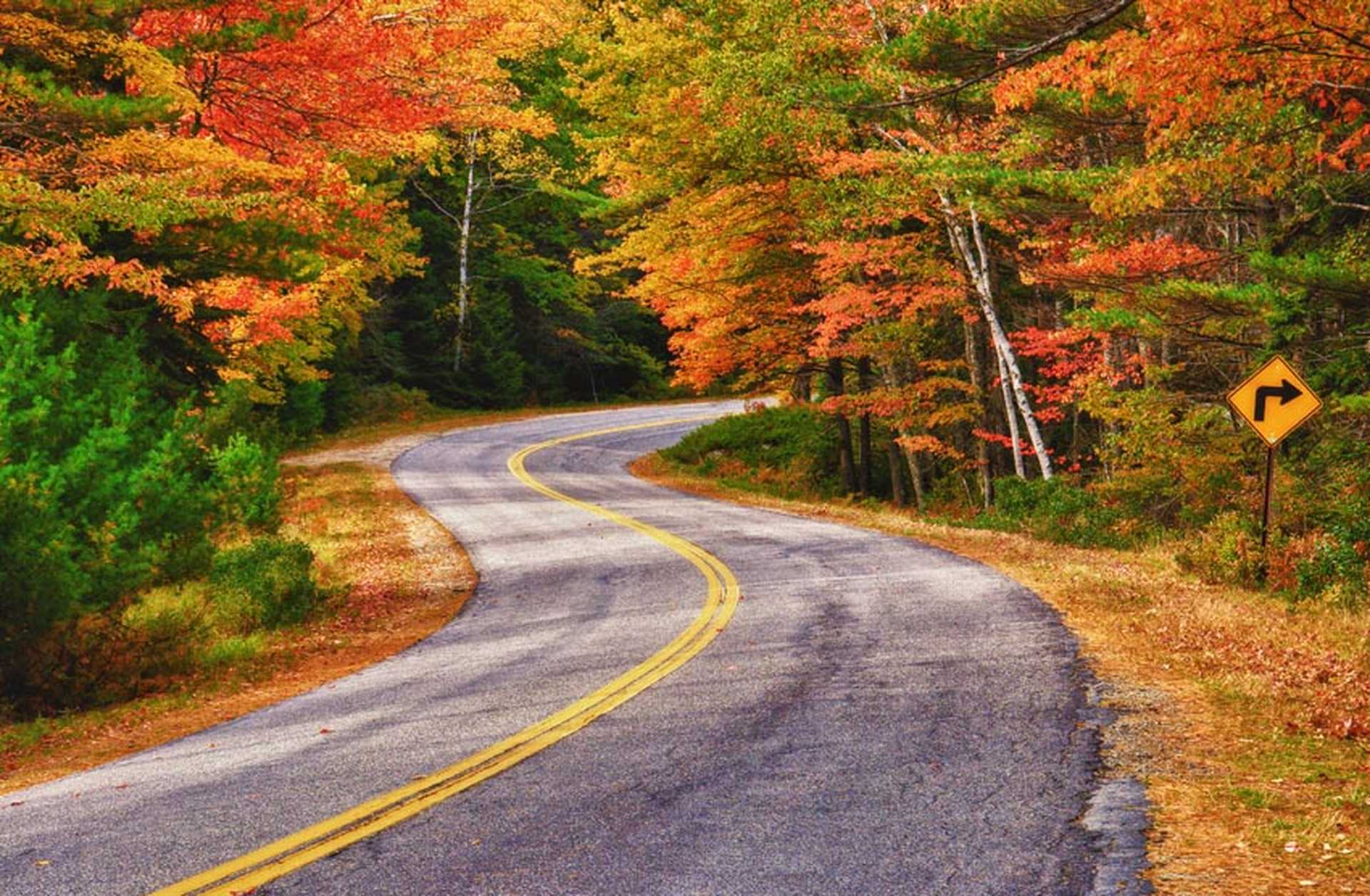Fall in New England