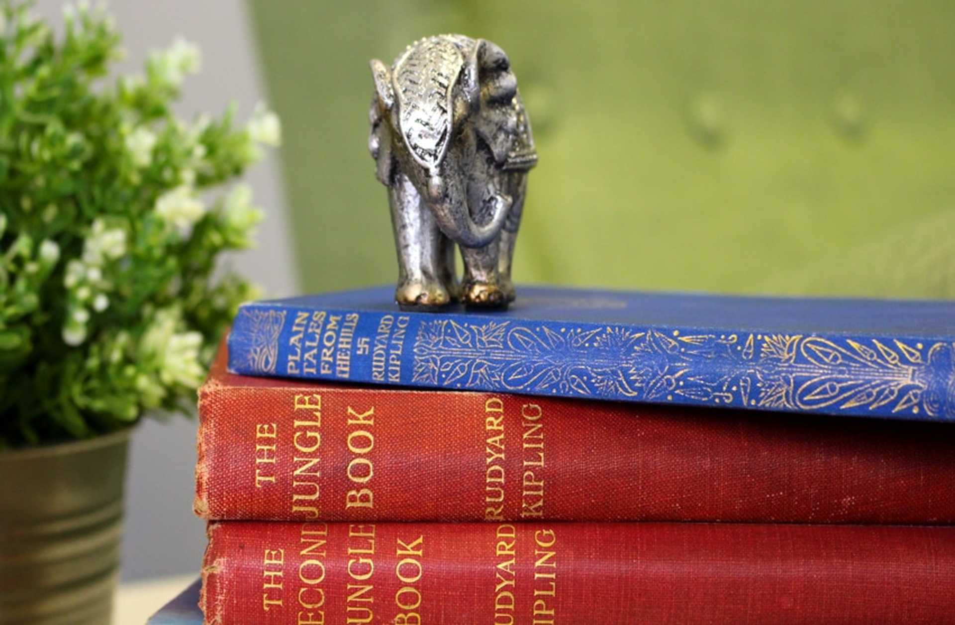 A small silver elephant ornament stands on a pile of books