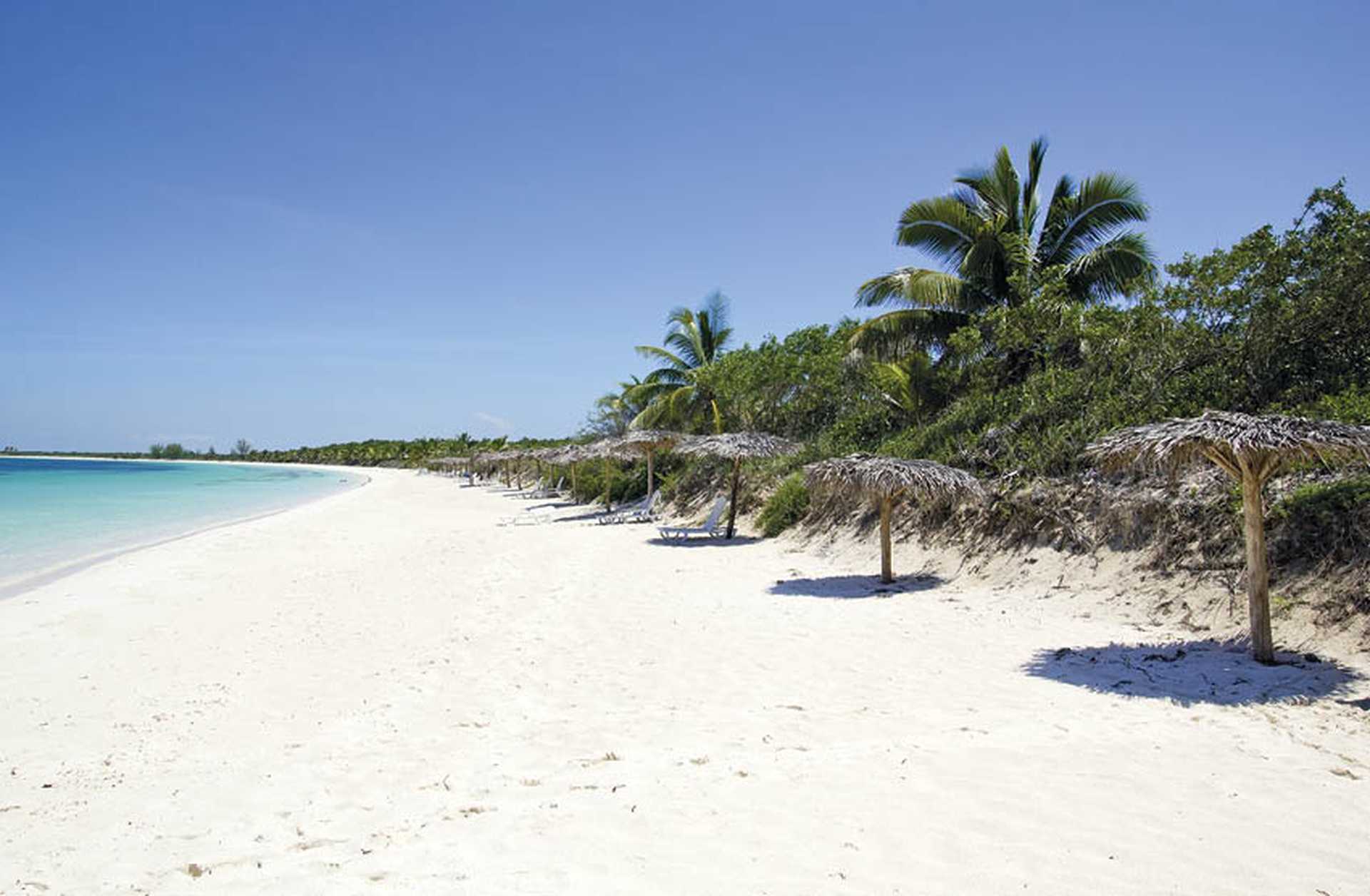 Cayo Santa Maria white sandy beach with palm trees, Cuba