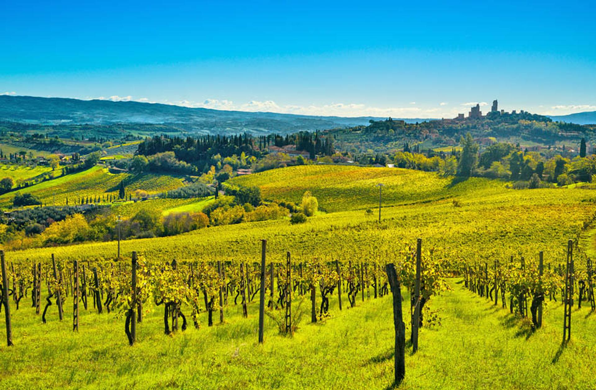 View across vineyards to San Gimignano in Tuscany, Italy
