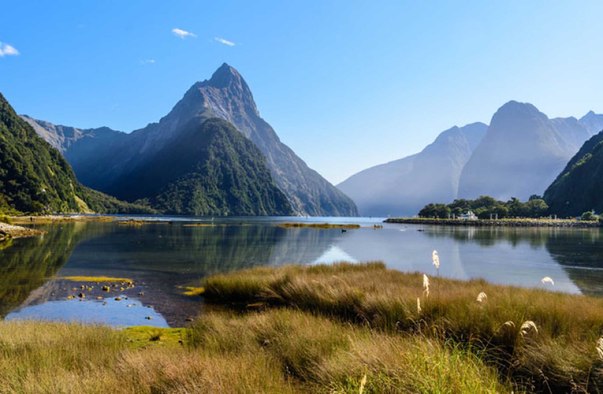 Forested peaks rise from the still waters of Milford Sound in New Zealand's South Island