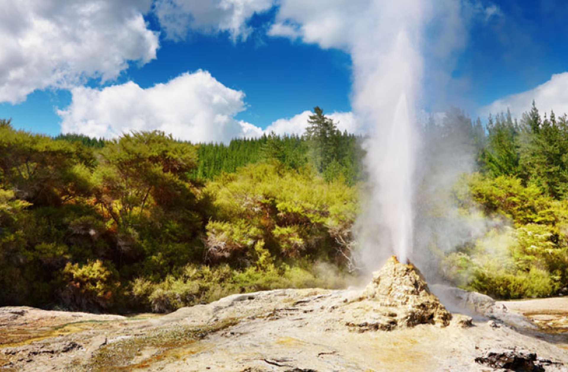 Lady Knox Geyser erupts in Taupo, New Zealand