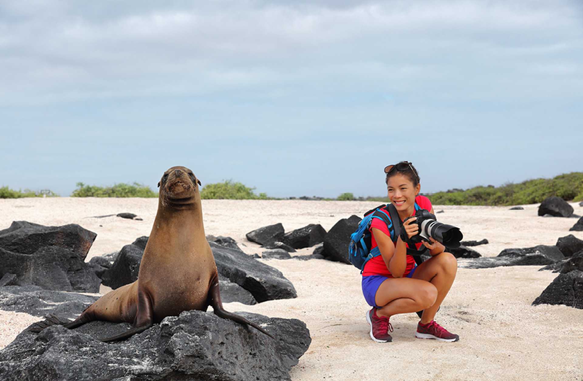 A photographer crouches next to a seal lion on a beach in the Galapagos