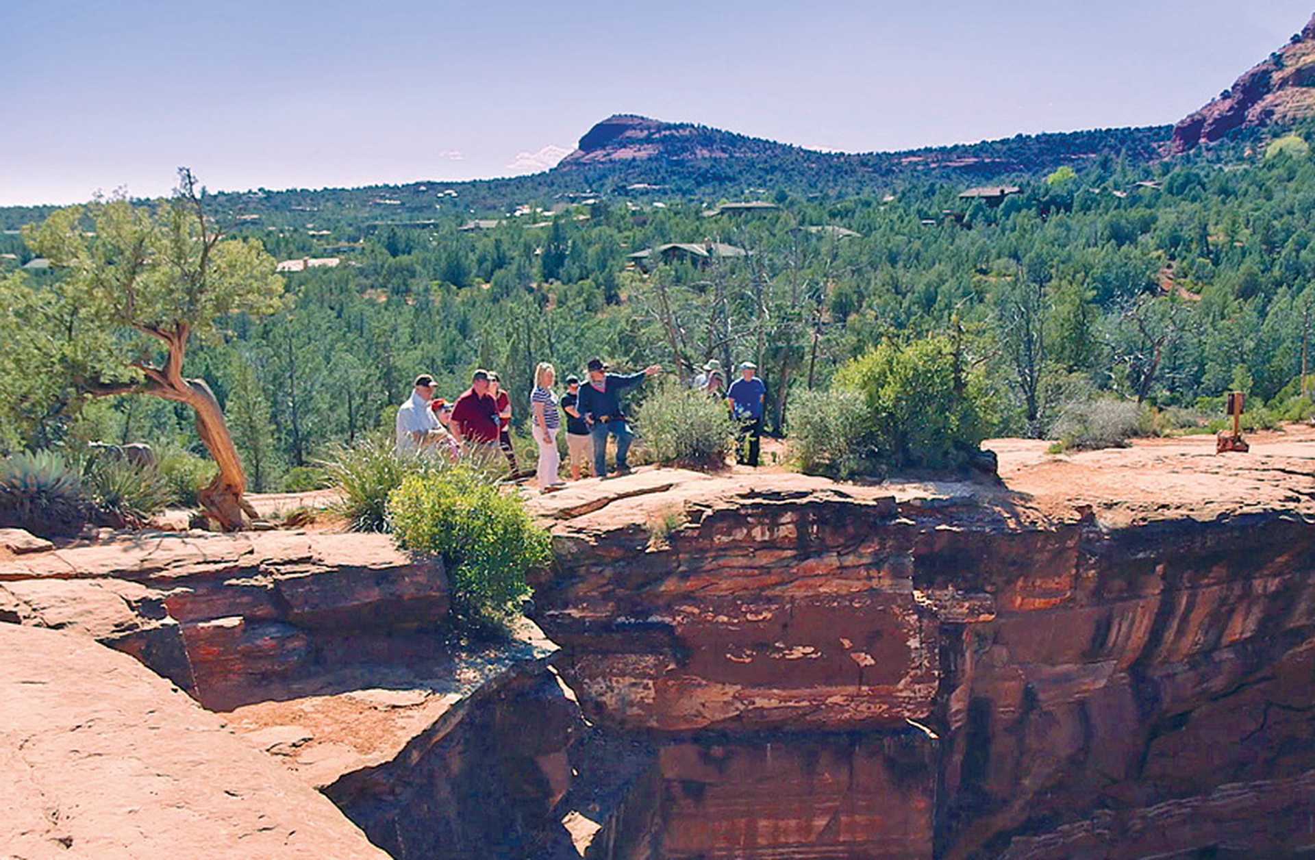 Tourists stand on the edge of a canyon, with a forest behind