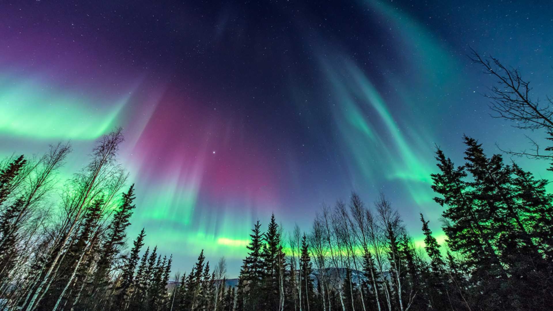 Fairbanks