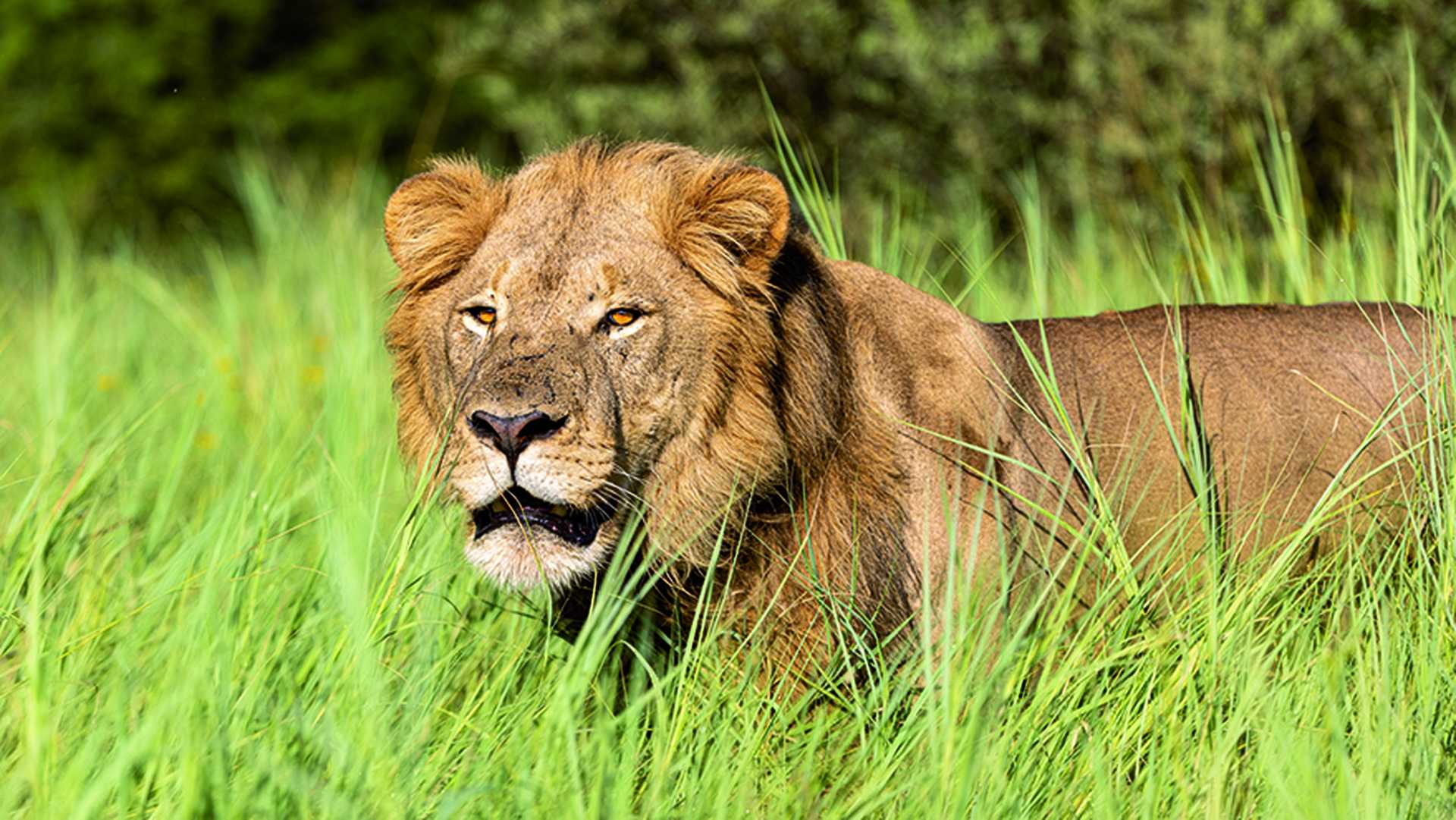 Qwabi Private Game Reserve