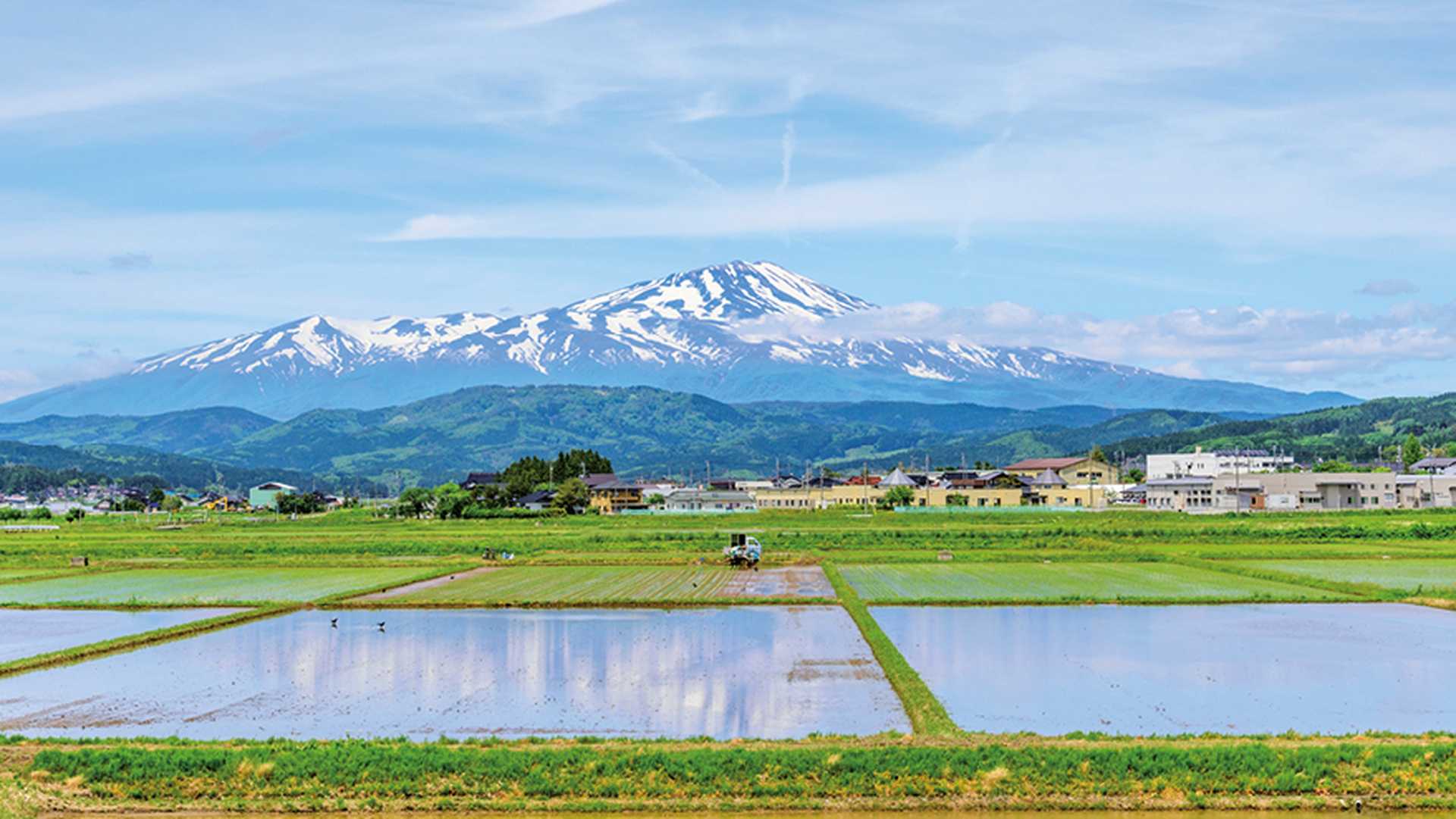 View of Mt. Chokai from the Shonai Plain, Sakata