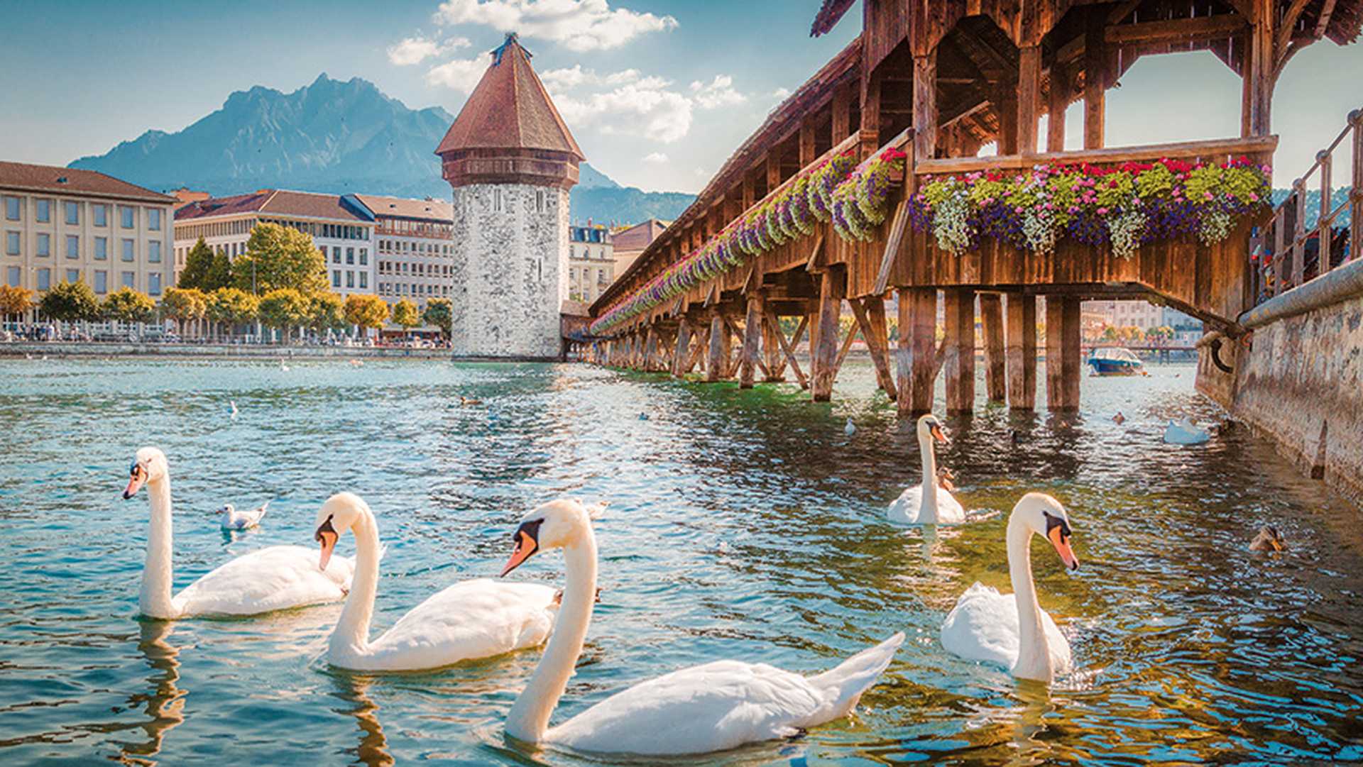 Lucerne and the Chapel Bridge