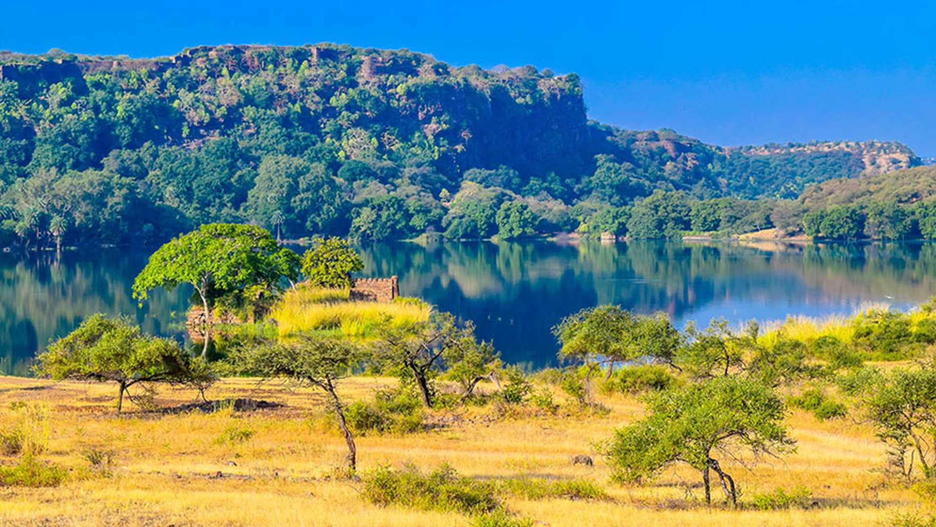 Corbett National Park