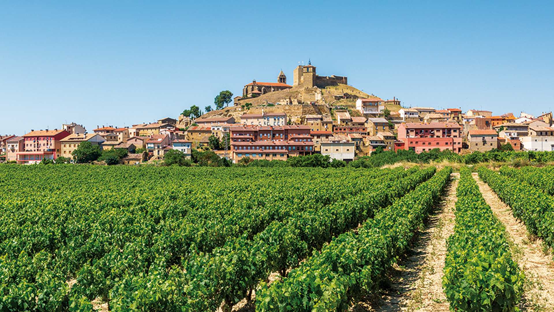 La Rioja couuntryside with Haro town