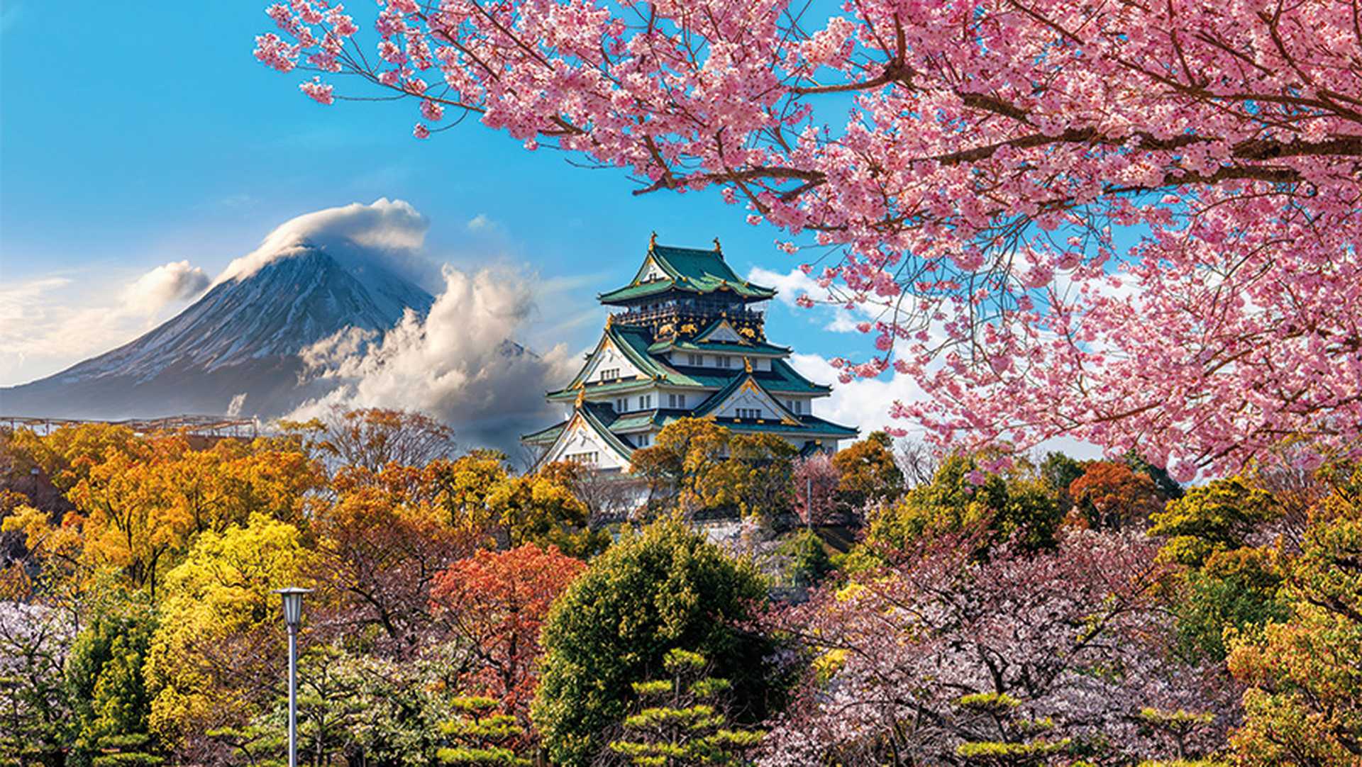  Osaka Castle and full cherry blossom, with Fuji mountain background, Japan