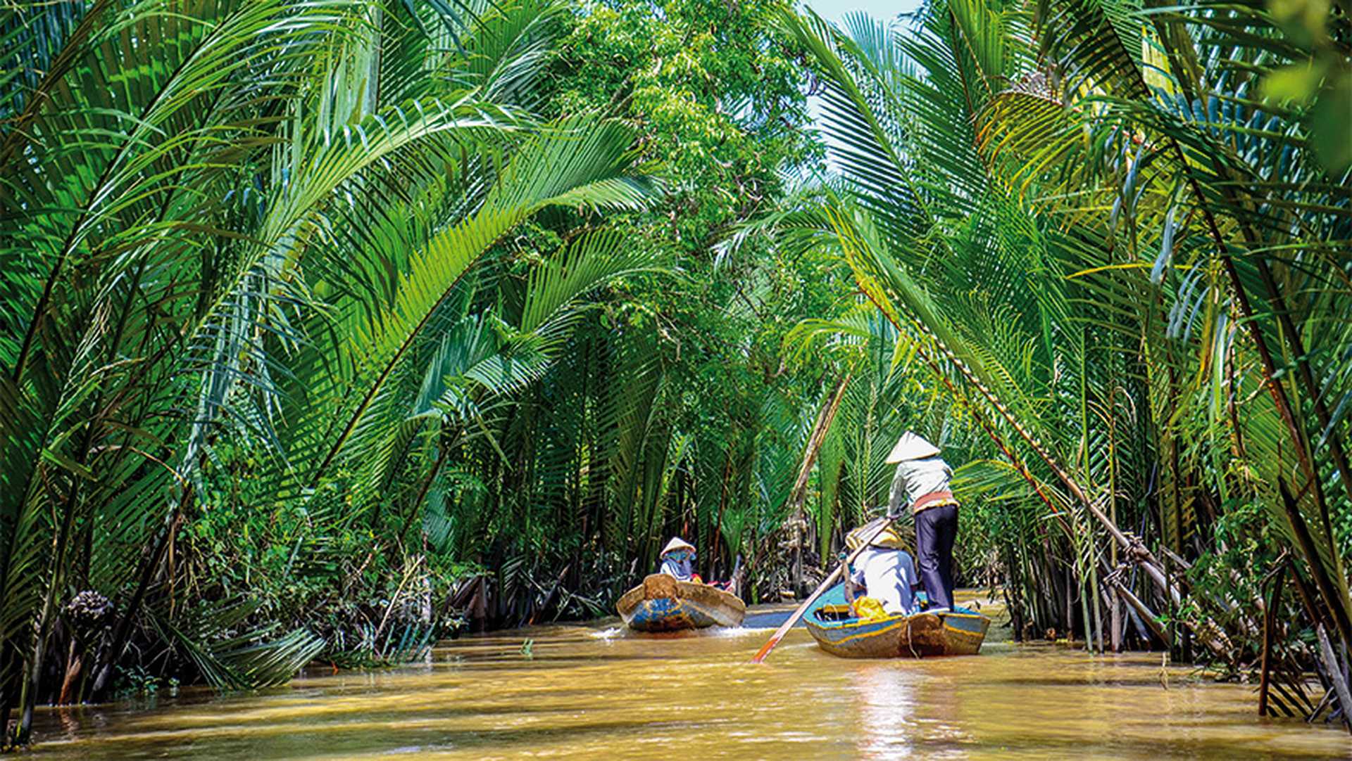 Paddle boats Mekong Delta Vietnam