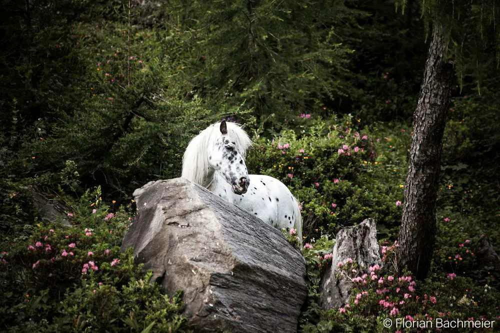 Florian Bachmeier Dokumentarfotografie in der Ukraine