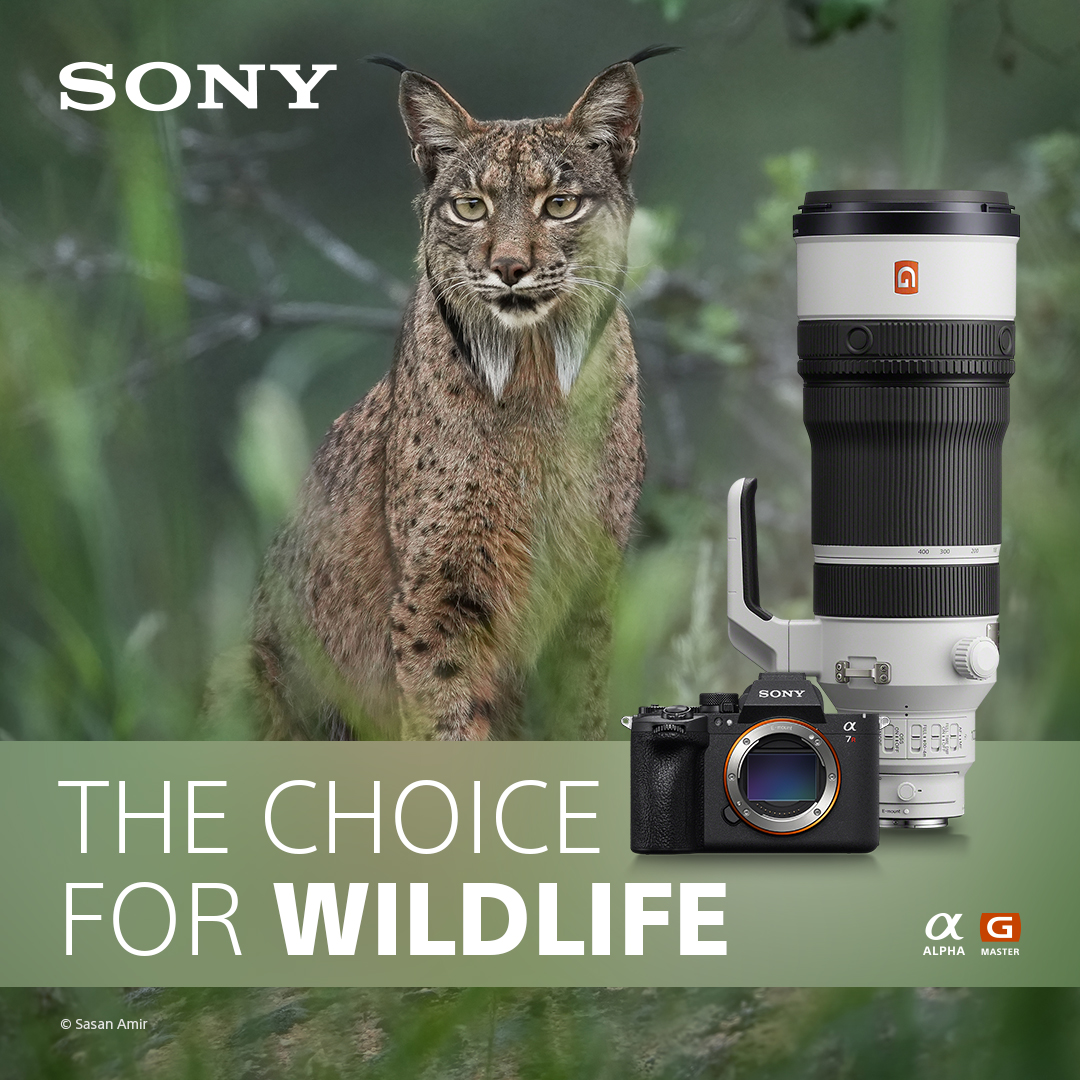 Wildlife