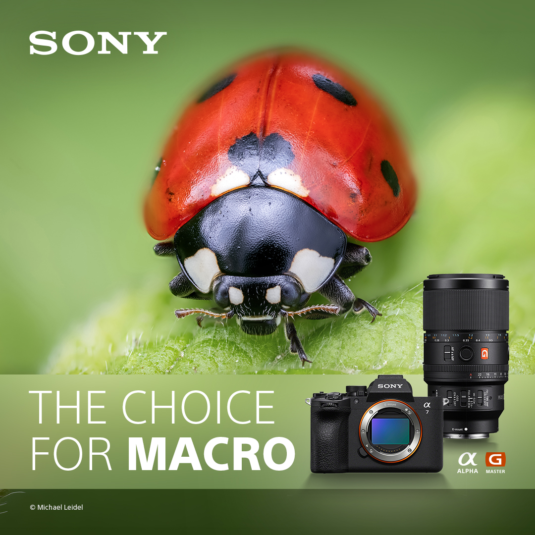 Macro
