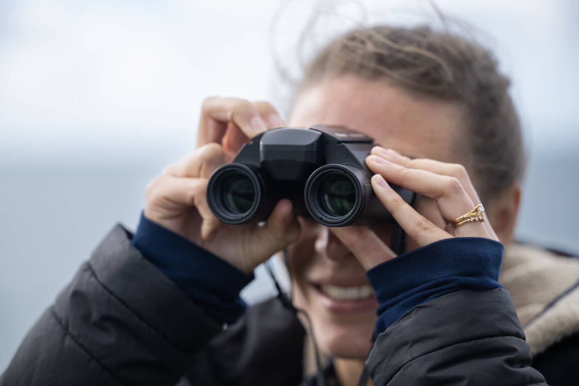 STABILIZED-Technologie