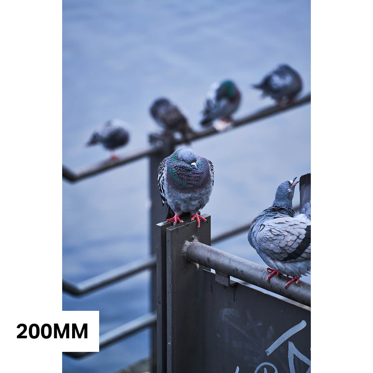 Beispielfoto 200mm