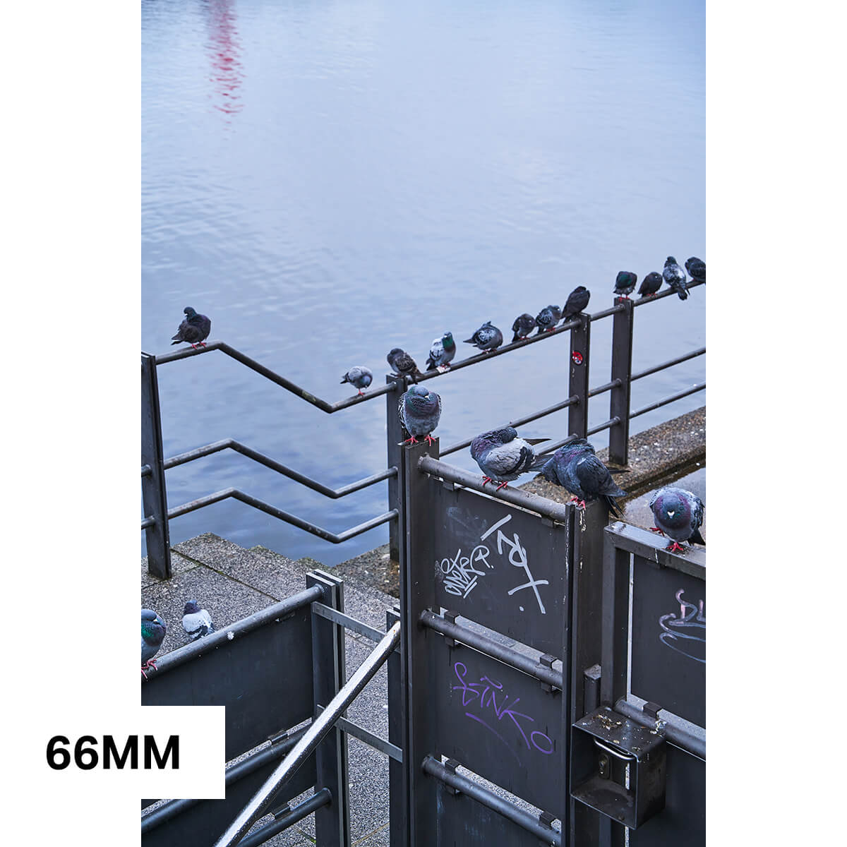 Beispielfoto 66mm