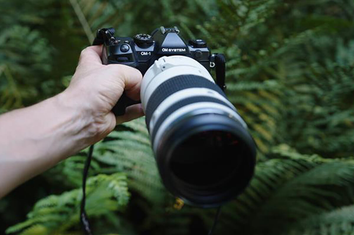 M.Zuiko 50–200 mm f2.8 IS PRO Fazit