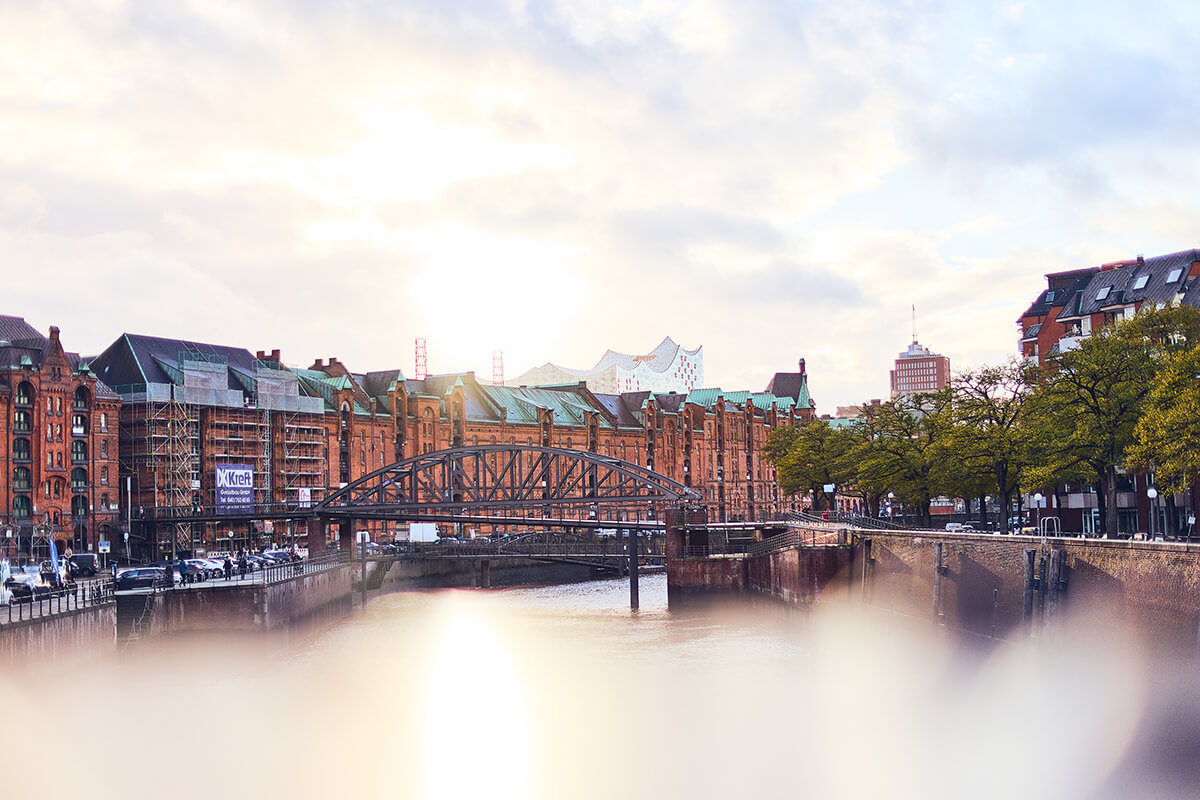 Canon 45mm f1.4 - Testaufnahme Gegenlicht