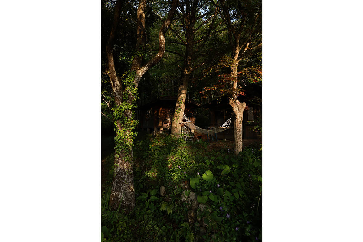 Beispielbild Sigma 14mm f1.4 Natur