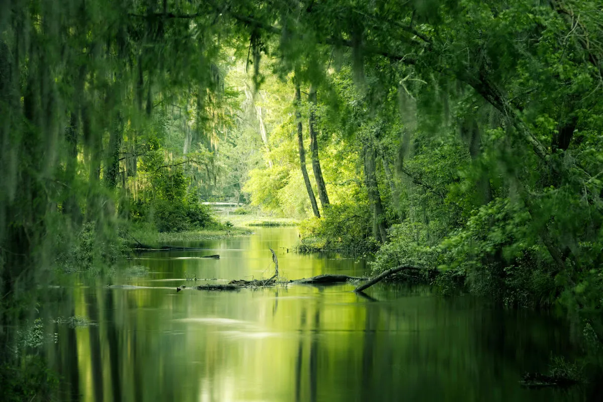 Nikon Objektive für Landschaft