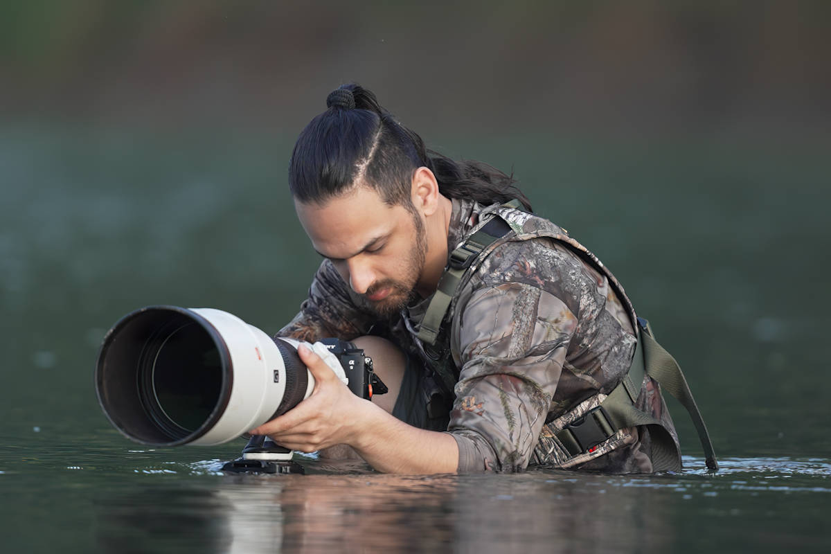 Sony Wildlife