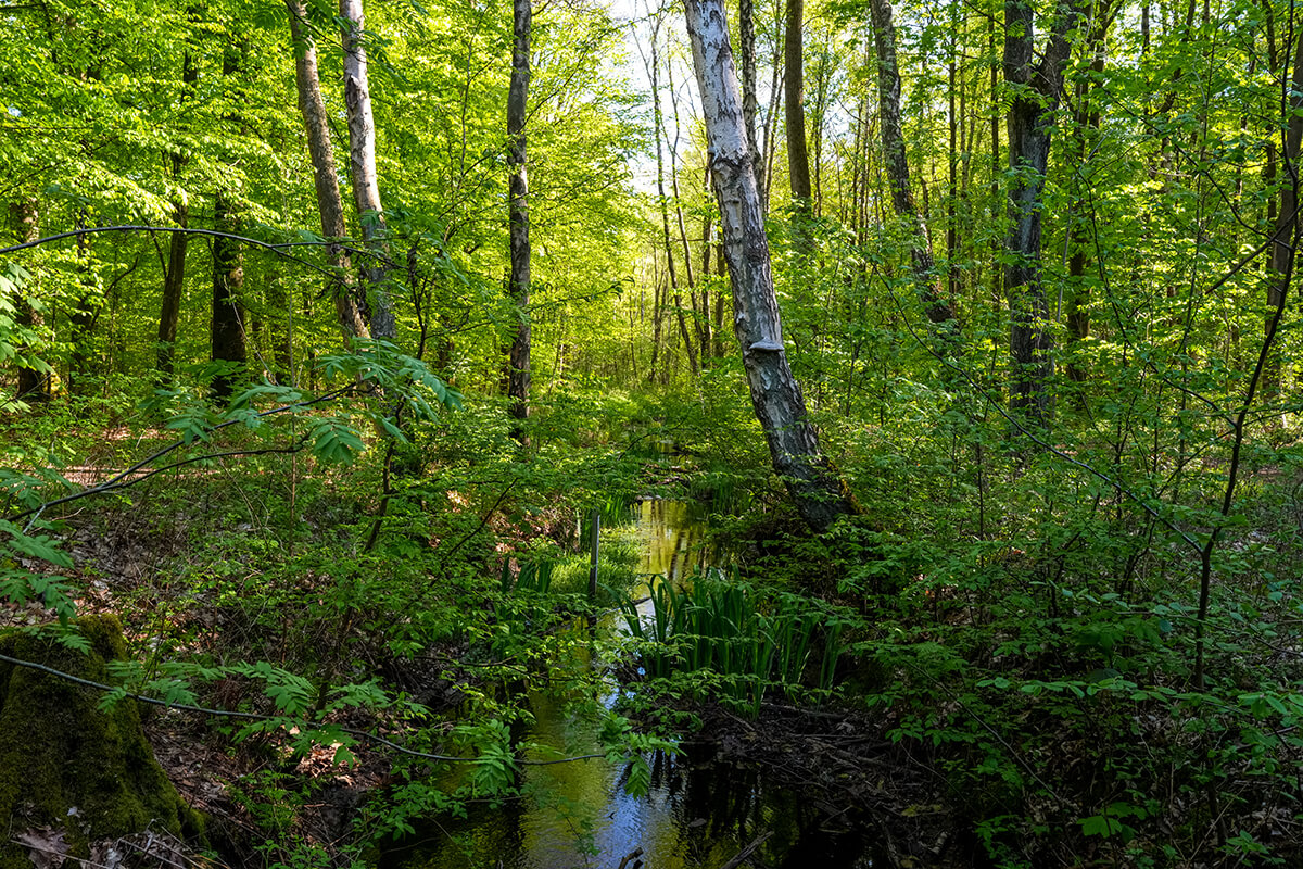Sony a7R VI Testfoto Landschaft