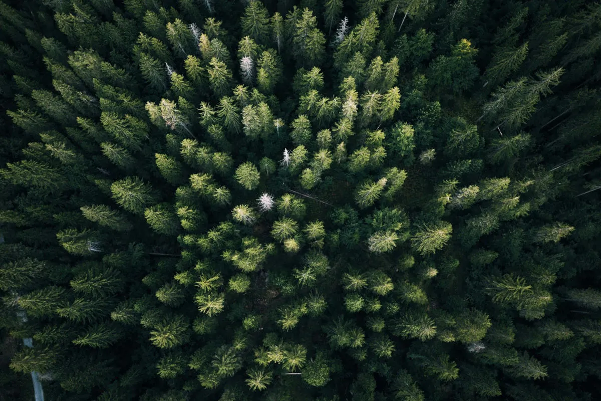 Fujifilm Objektive für Landschaft