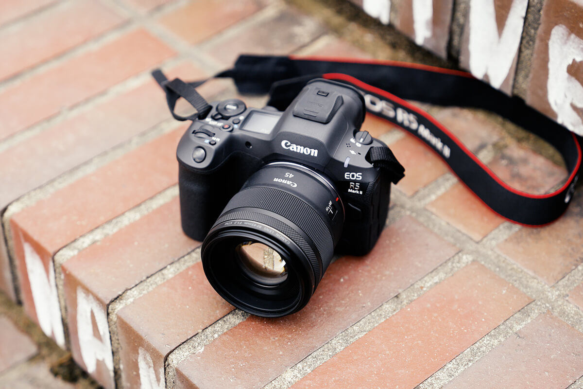 Fazit Canon 85mm f1.4 L VCM