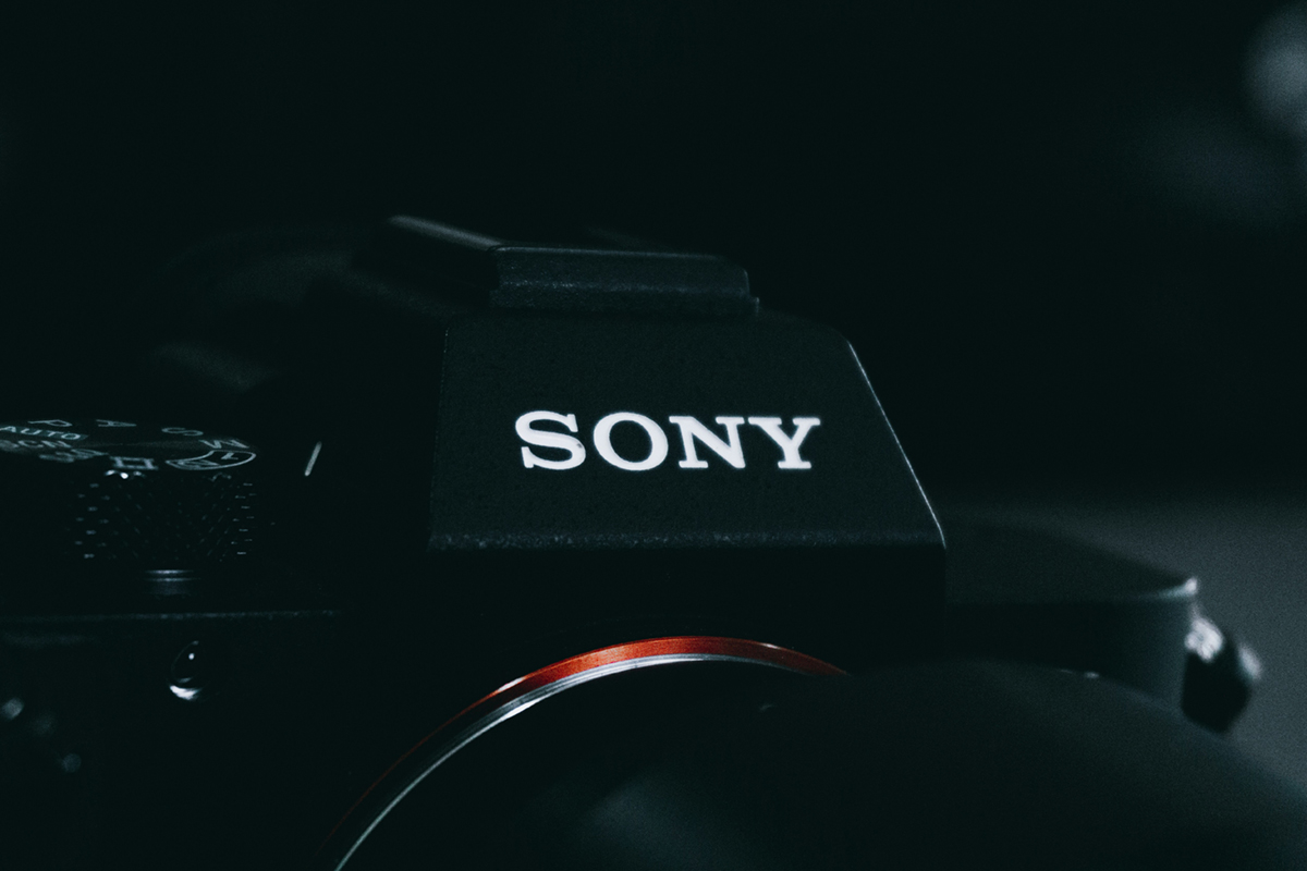 Sony Einsteiger Kameras 2026 - der große überblick