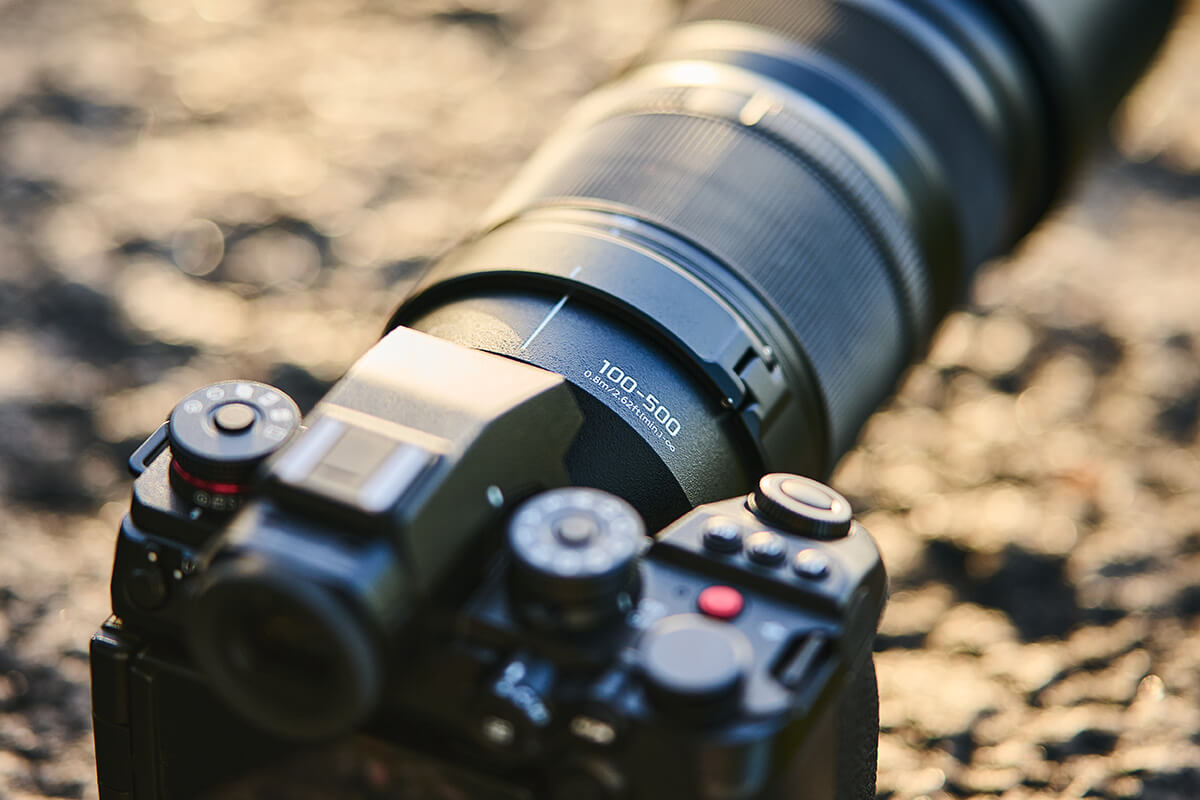 Panasonic 100-500mm f5-7.1 OIS Test Fazit
