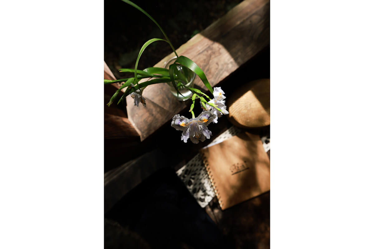 Beispielbild Sigma 14mm f1.4 Nahaufnahmen