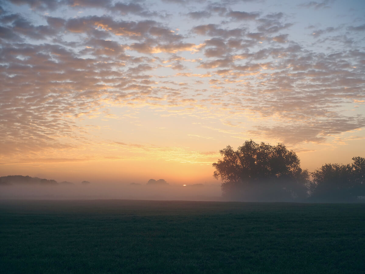 OM System PEN Beispielbild Sonnenaufgang
