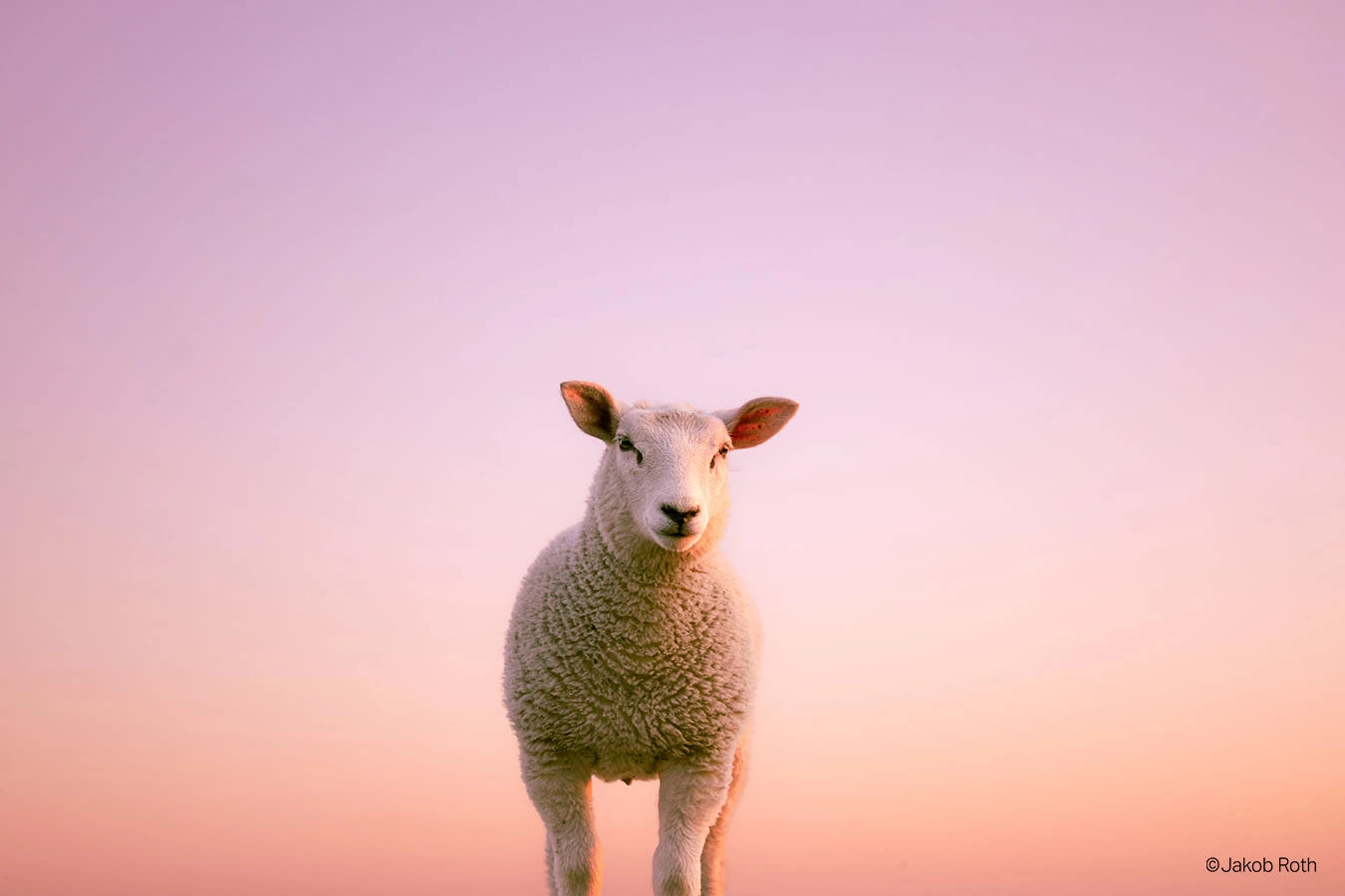 Foto der Woche KW50