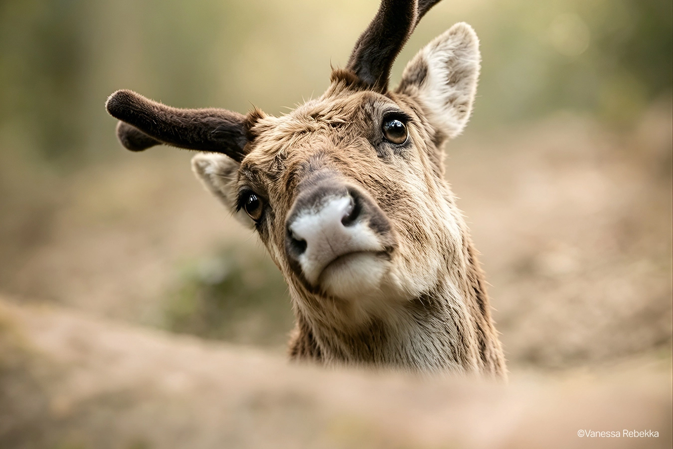 Foto der Woche KW29