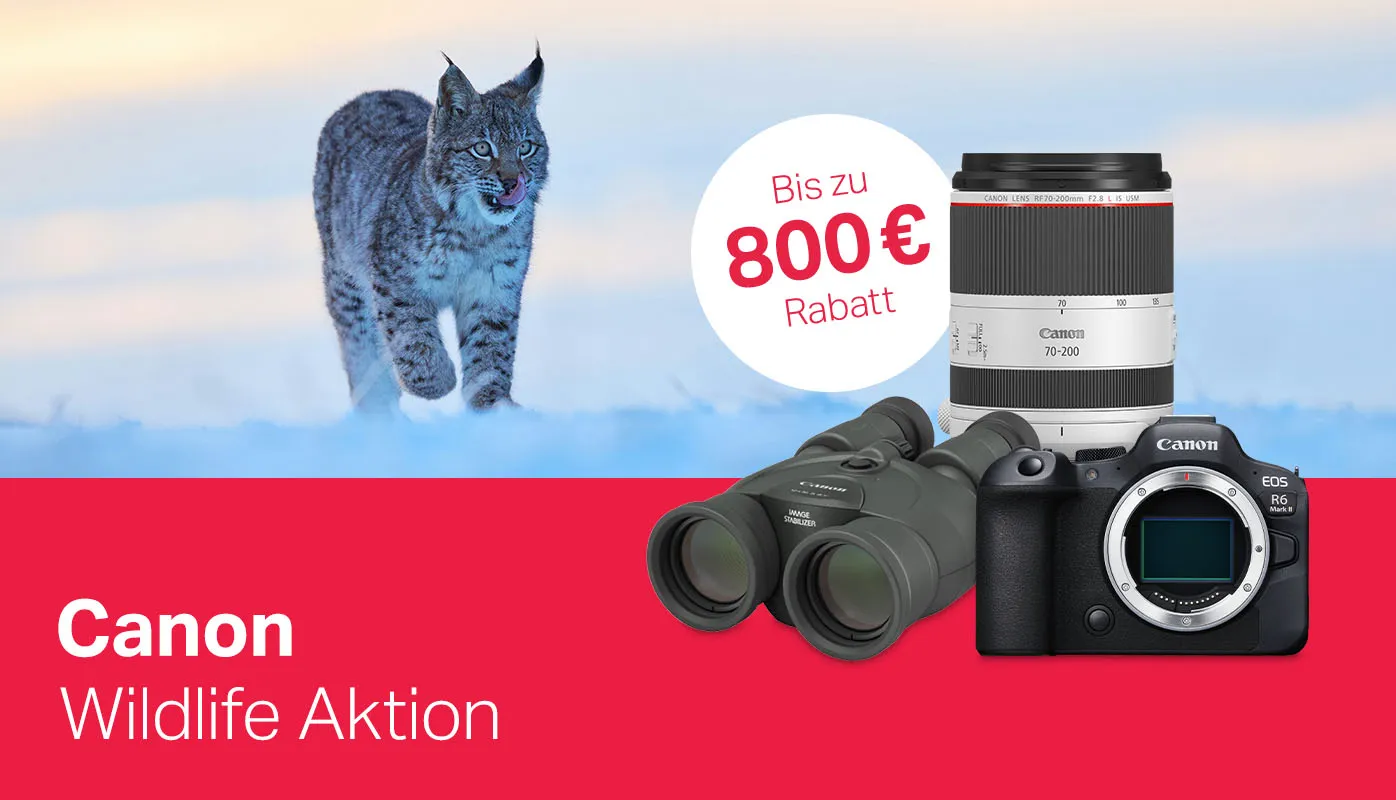Canon Wildlife-Aktion