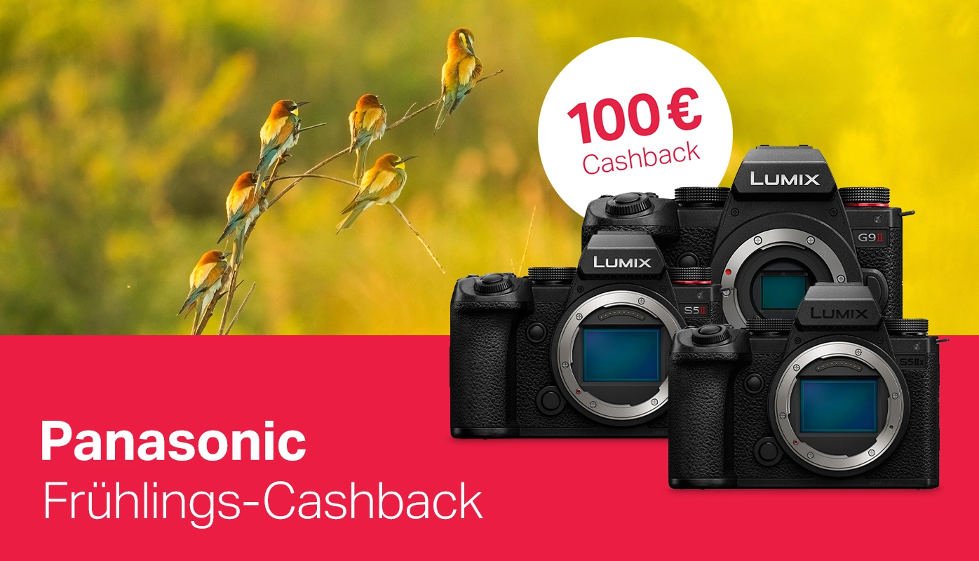 Panasonic Frühlings-Cashback