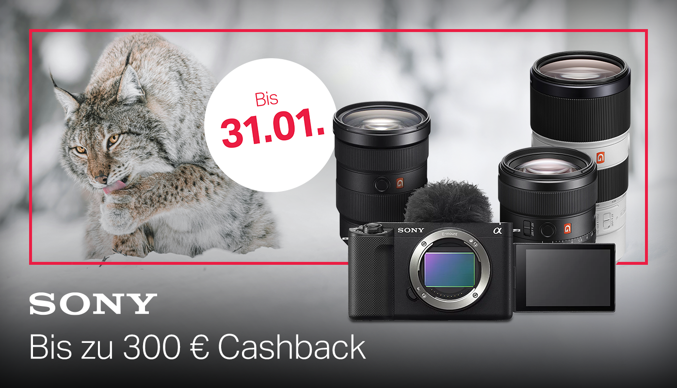 Sony Winter-Cashback