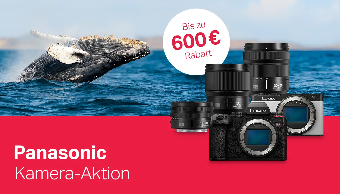 Panasonic Kamera-Aktion