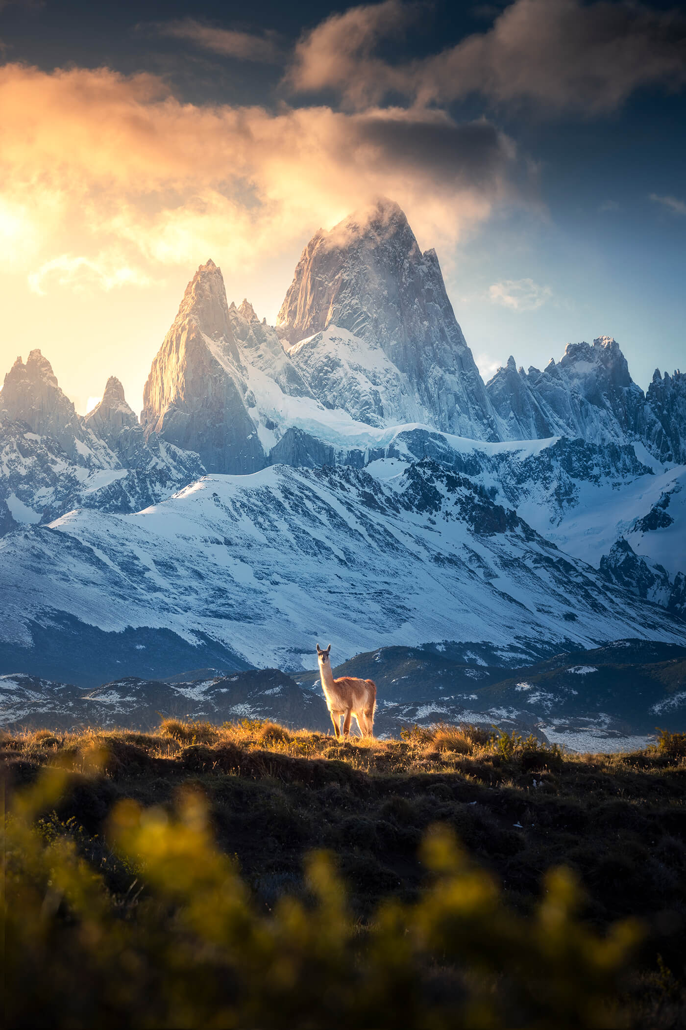 Lieblingsfoto Luca Tiefenthaler