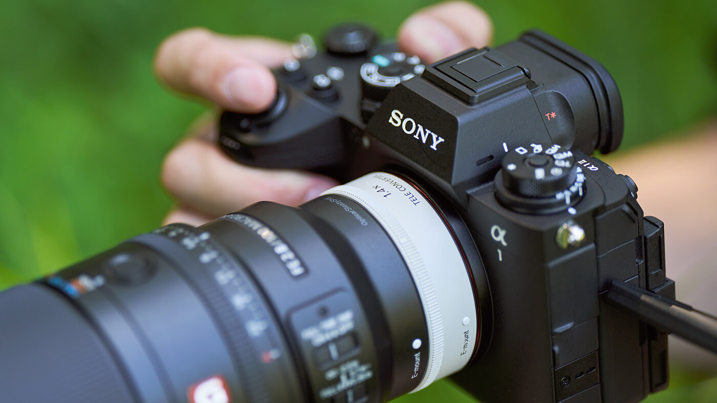 Sony FE 100mm f2.8 G Master Macro Teaser